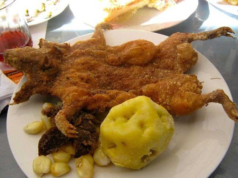porquinho da india assado