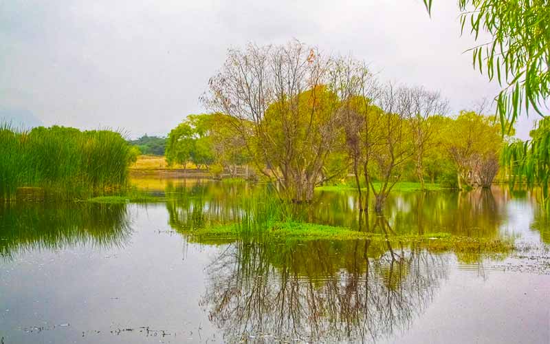 O que fazer em Trujillo Perú - Lagoa Conache