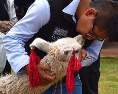 Vale Sagrado Dos Incas – Passeio de 1 Dia