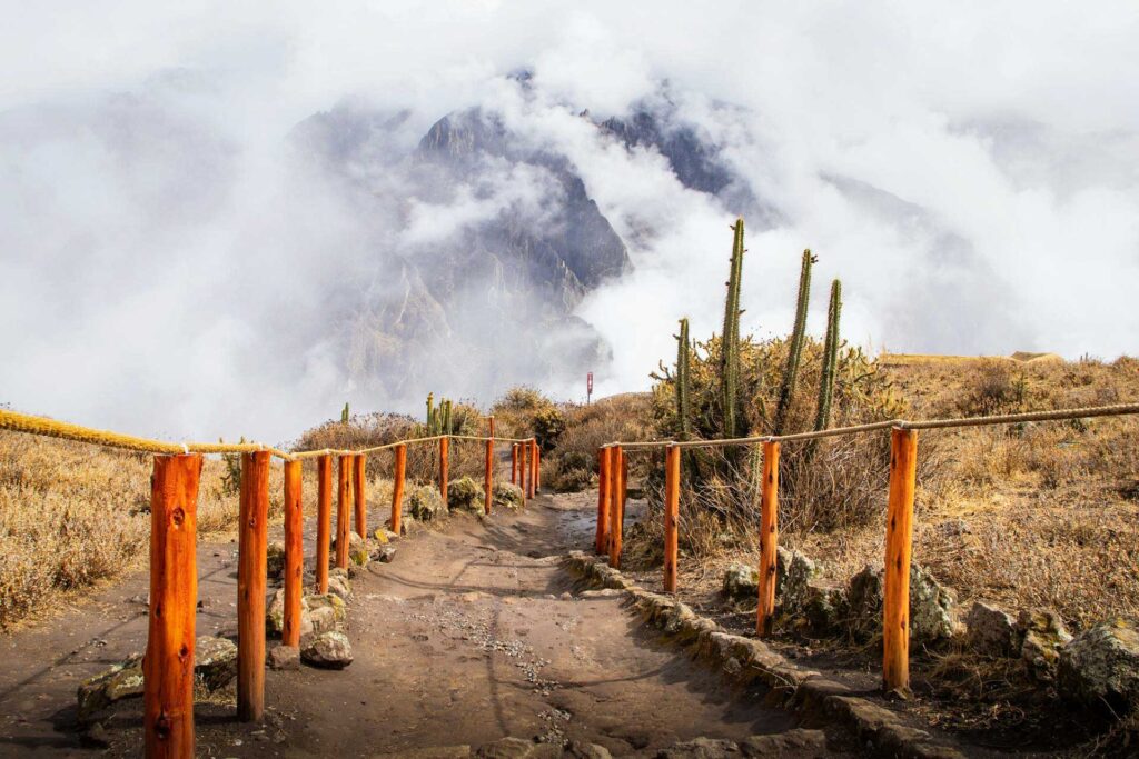 Tour Canion do Colca Arequipa 1 Dia