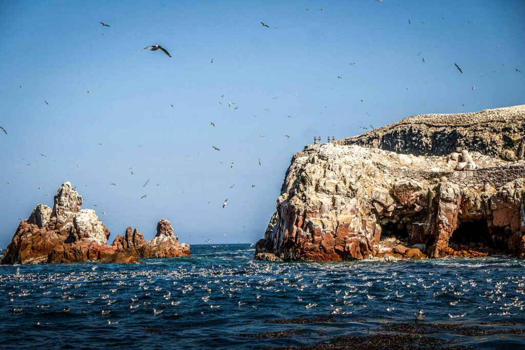 Tour Paracas Ica e Nazca 2 Dias